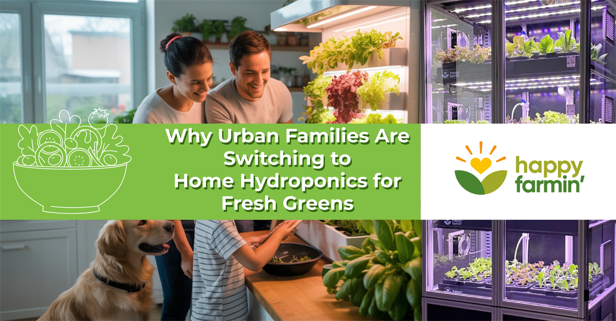 Why Urban Families Are Switching to Home Hydroponics for Fresh Greens