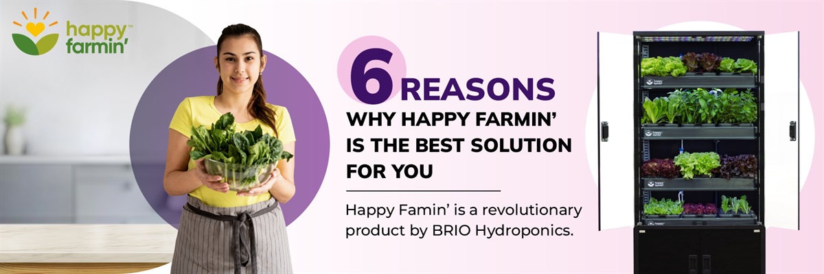 Reasons why Happy Farmin' is the best solution for you