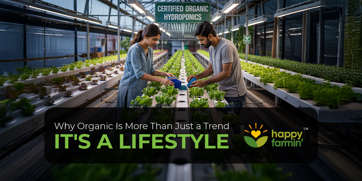 Why Organic is More than Just a Trend: It's a Lifestyle