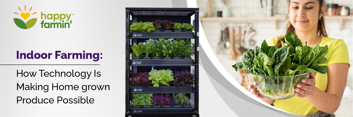 Indoor Farming: How Technology Is Making Home grown Produce Possible