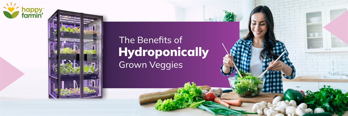 The Benefits of Hydroponically Grown Veggies