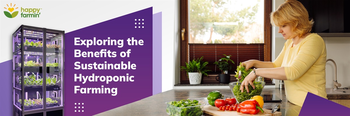 Exploring the Benefits of Sustainable Hydroponic Farming